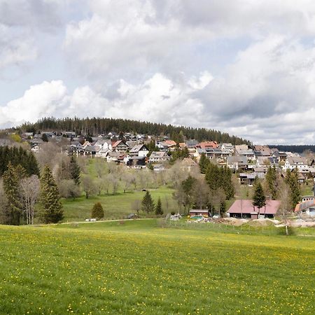 Ferienwohnung Sohnrey Titisee-Neustadt Esterno foto